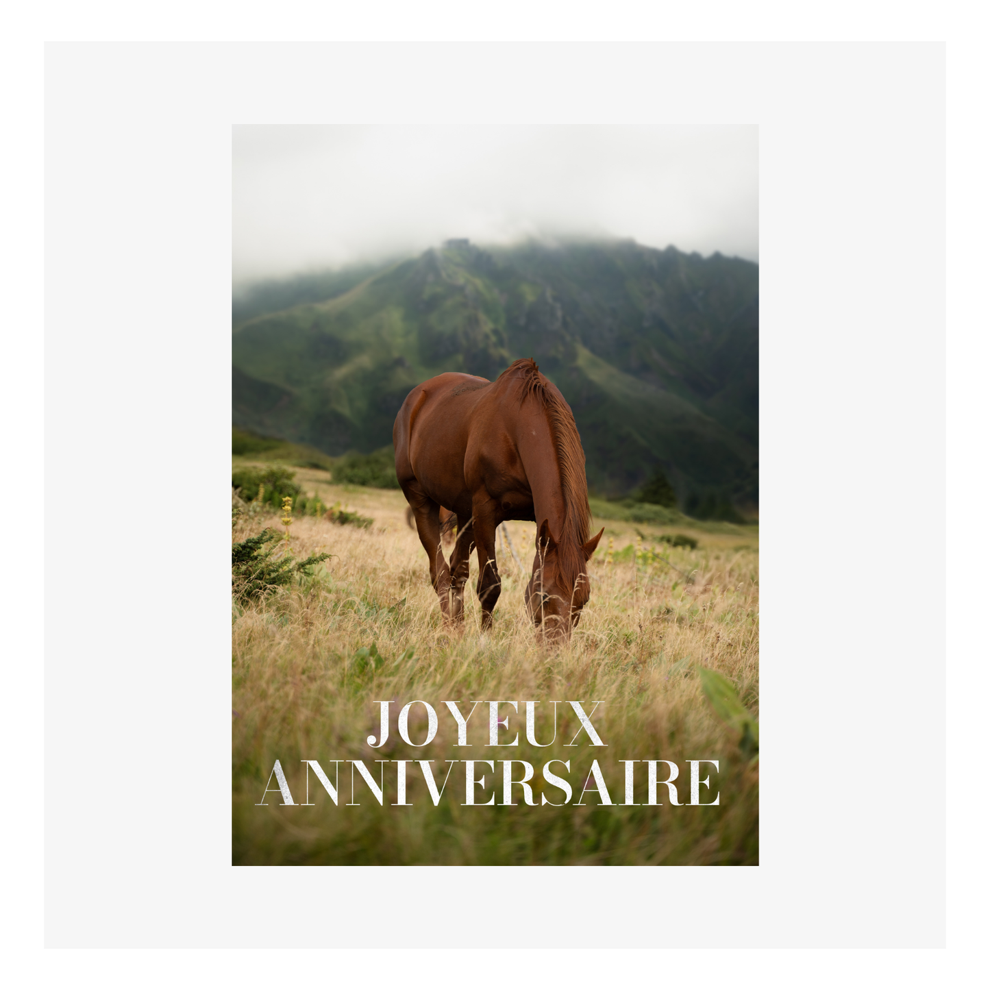 Cheval Joyeux Anniversaire par Zoé Amat - 105x148 mm