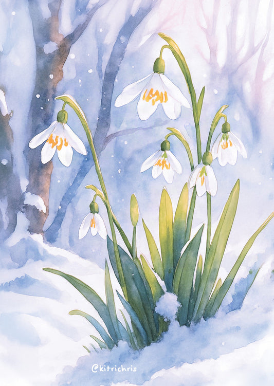 Paysage d'Hiver, les Perce-Neige